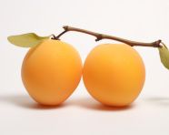 Apricots cut in half on white background, apricot images