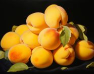 Ripe apricots in basket, apricot images