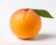 A single apricot, apricot images