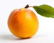 Single apricot on white background, apricot images
