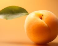 Juicy apricot close-up, apricot images