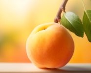 Apricot with seeds visible, apricot images