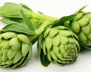 White background with artichokes, artichoke image