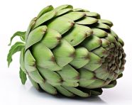 Artichoke isolated on white background, artichoke image