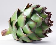 Single artichoke on white, artichoke image