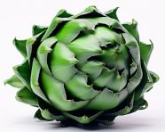 Single artichoke isolated on white, artichoke image