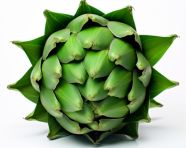 Single artichoke on white background, artichoke image