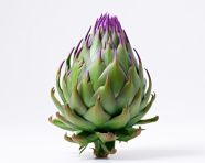 Green artichoke vegetable, artichoke image