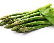 New season asparagus on white background, asparagus image