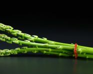 Asparagus spear sprig, asparagus image