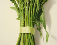 Asparagus and green stalks on a white background, asparagus image