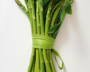 Green asparagus stalks on white background, asparagus image