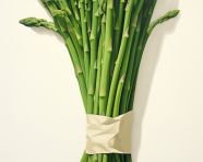 Asparagus spears on white background, asparagus image