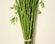 Crisp asparagus stalks isolated on white, asparagus image