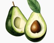 A picture of split avocado on white, avocado image stock photo