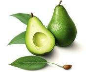 Split avocado on white background, avocado image stock photo