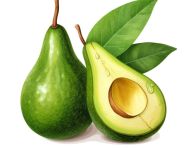 Fresh avocado halved on white, avocado image stock photo