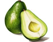 Ripe avocado cut in half on white plate, avocado image stock photo