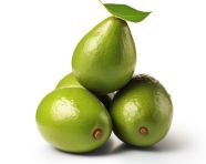 Avocado on white background, avocado image stock photo