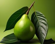 Avocado benefits nutrition, avocado image stock photo