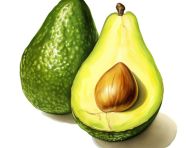 The avocado on a white background, avocado image stock photo