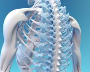 Spinal cord pain treatment, human bone image