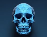 A skull in the 3d render format, human bone image