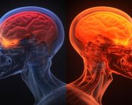 A man's head depicts a human brain with red light, human brain image