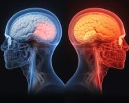 Red light illuminates human brain, human brain image