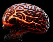 A light up brain on black background, human brain image