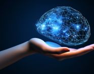 Hand holding an outline of a brain, human brain image