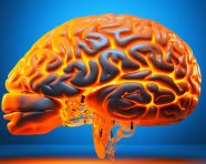 Human mind in blue, human brain image