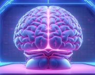 A diagram of the brain with neon lights in the background, human brain image