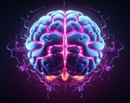 3d animated brain on dark background, human brain image