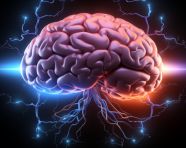 A blue and purple brain on black background, human brain image