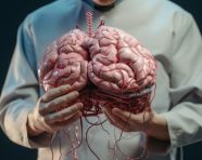 Medical doctor is holding a computer image of the brain, human brain image
