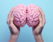 A pink version of a brain in a pair of hands, human brain image