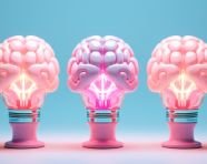 Brain power in 3 bulbs, human brain image