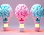 He power of the mind in 3 lights, human brain image