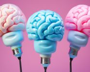 Three bright lights with a brain inside of them, human brain image