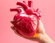 Pink heart puddle close up, human heart image