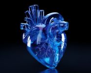 Human heart with blue eyes, human heart image