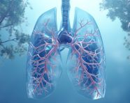 Health image of lungs, human lungs image