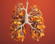 A lungs in orange and white 3d illustration, human lungs image