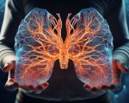 Lungs of a doctor being held with hands on the front, human lungs image