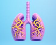 Lungs with a glass tube and a purple and blue gradient background, human lungs image