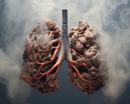 Smoke from inside lungs, human lungs image