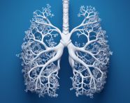 Human lungs on blue background, human lungs image