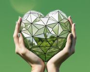 A female hand shows a heart shape on a green background with a cross in it, medical images stock