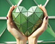 Female hand makes heart shape on green background, medical images stock